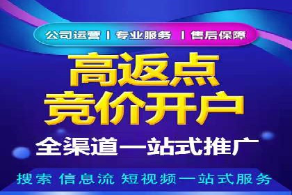 百度竞价排名案例分析：提升网站流量与转化率