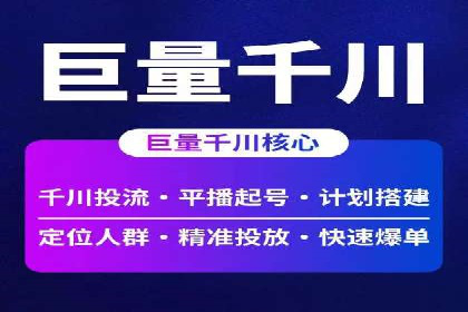 不同平台的SEM广告投放比较及成功案例分析